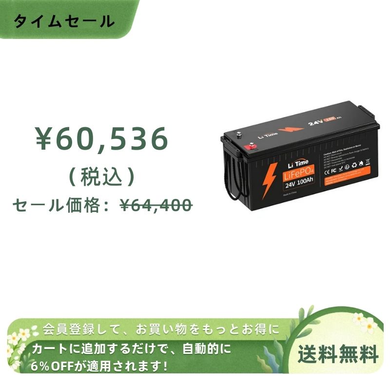 LiTime 24V 100Ah サブバッテリー用リン酸鉄リチウムイオン