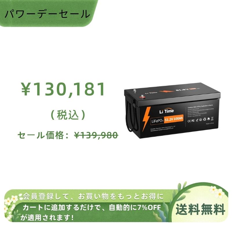LiTime 51.2V 100Ah蓄電池太陽光用リン酸鉄リチウムイオン