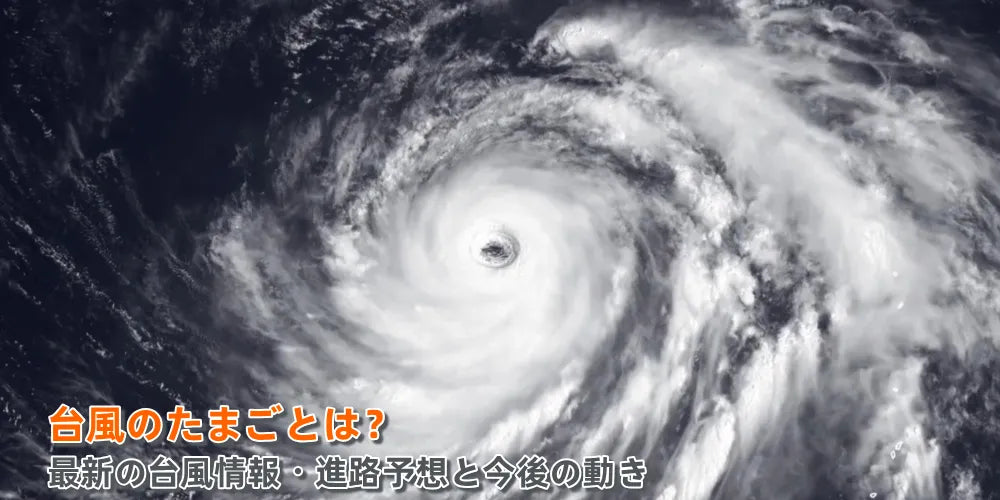 台風のたまごとは？最新情報・進路予想の見方と台風への備え