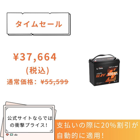 LiTime 12V 230Ah サブバッテリー用リン酸鉄リチウムイオン