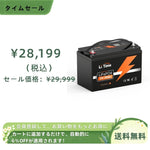 LiTime 12V 100Ah リン酸鉄リチウムイオンバッテリー
