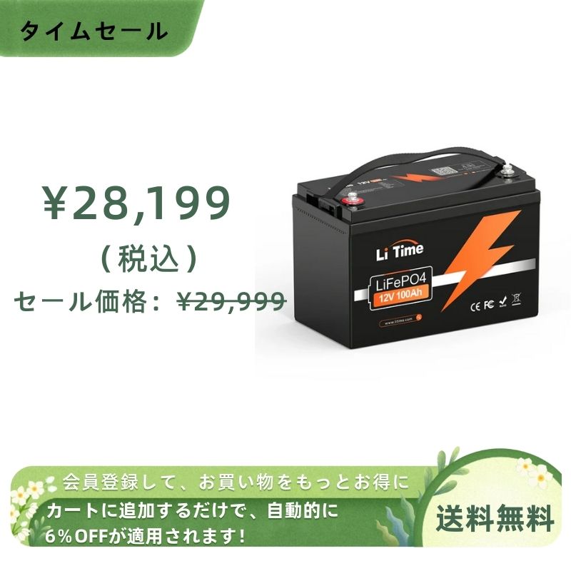 LiTime 12V 100Ah リン酸鉄リチウムイオンバッテリー