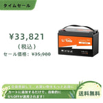 LiTime 12V100Ah 2C放電レートリン酸鉄リチウムイオンバッテリー