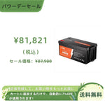 「予約商品」LiTime 12V 300Ah 非常用バッテリー