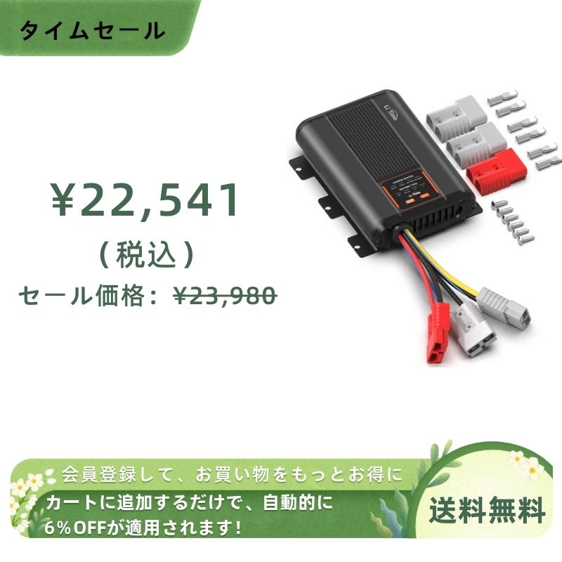 LiTime バッテリー充電器 走行充電器 Amazon.co.jp: LiTime 12V 40A DC充電器 走行充電器 12Vのリン酸