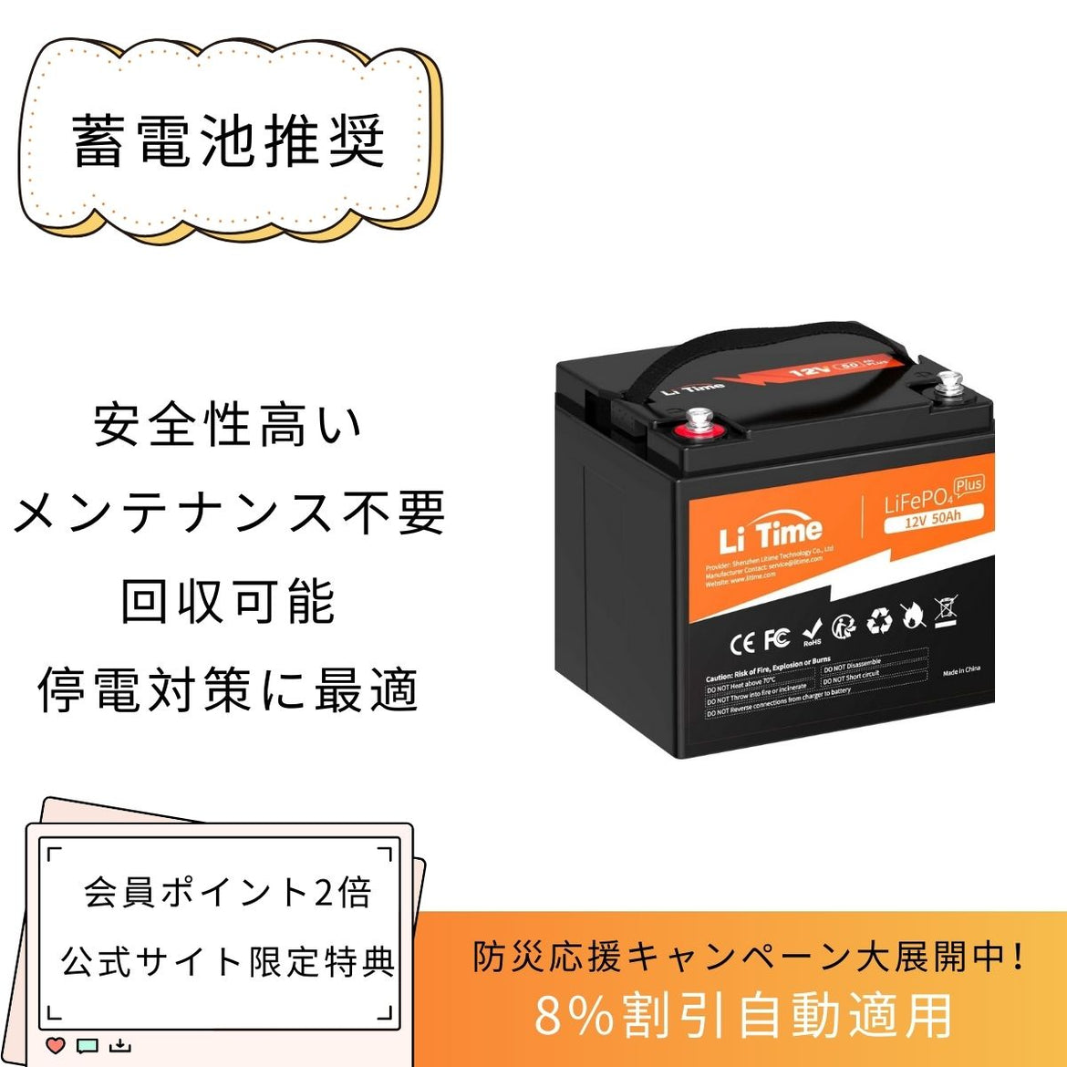 LiTime 12V 100Ah LiFePO4 リン酸鉄リチウムイオンバッテリー 内蔵100A BMS - LiTime-JP