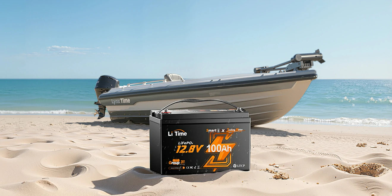 12V100Ah TM Bluetooth