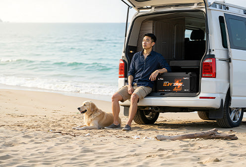 LiTime 限定セール