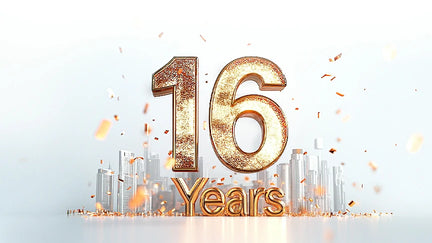 16年の専門知識