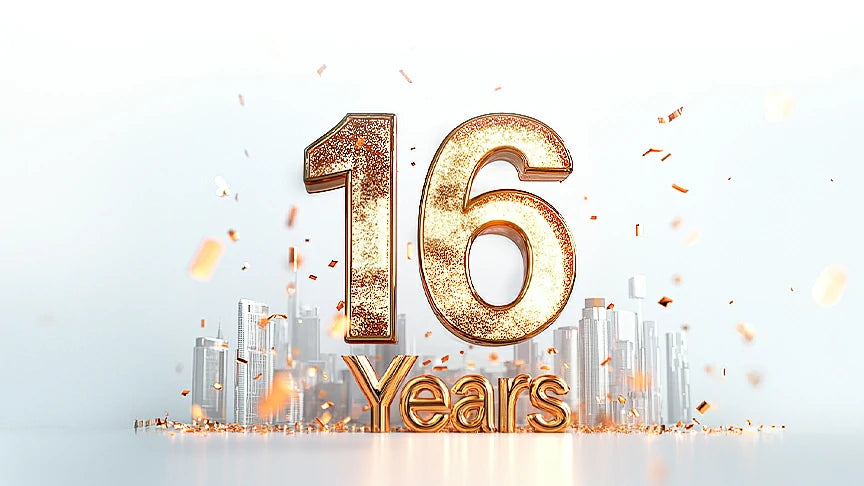 16年の専門知識