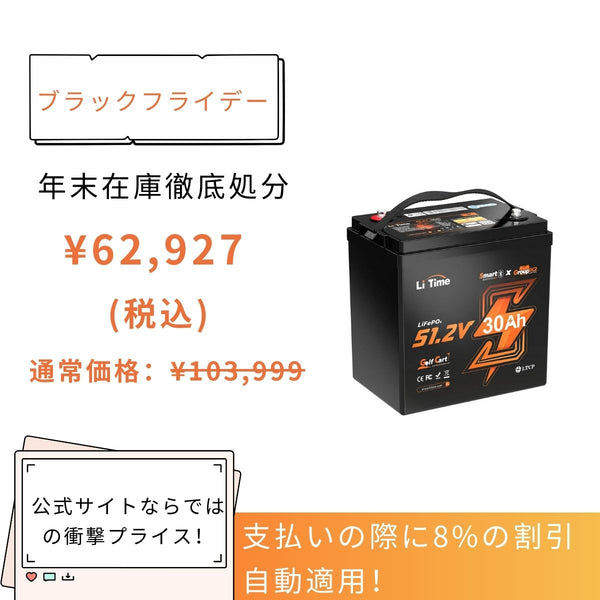 48V 30Ah Bluetooth内蔵 リン酸鉄リチウムイオンバッテリー – LiTime-JP