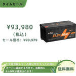 LiTime 48V60Ah  リン酸鉄リチウムイオンバッテリー