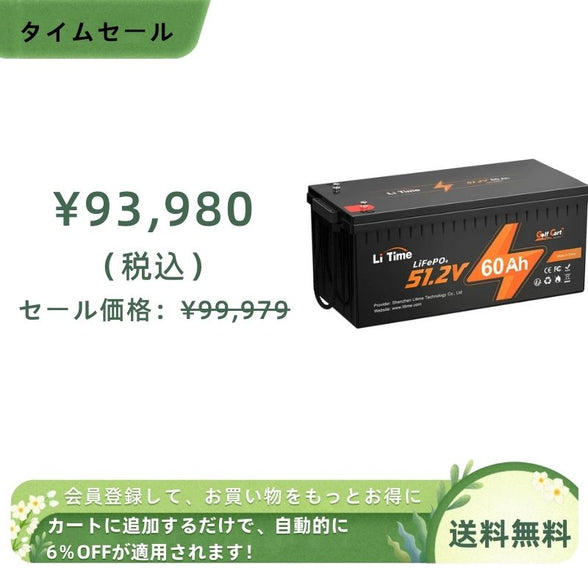 LiTime 48V60Ah  リン酸鉄リチウムイオンバッテリー