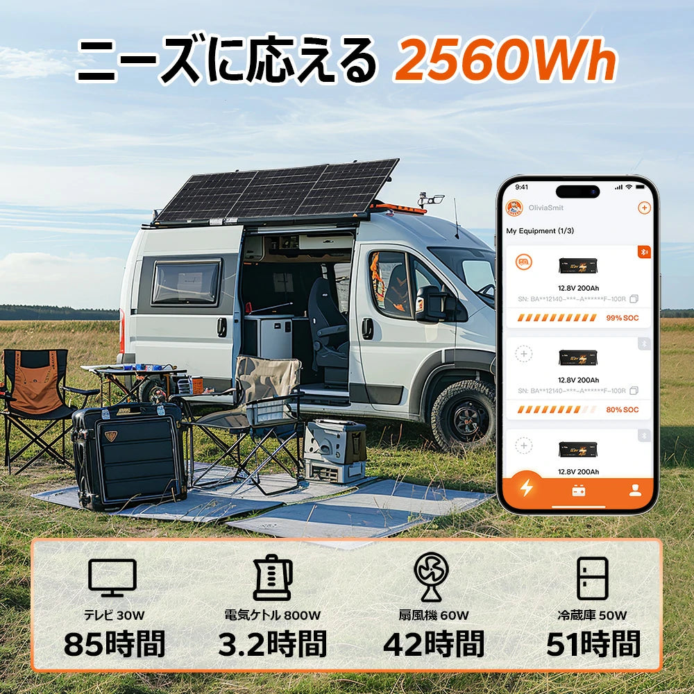 ニーズに応じる 2560wh