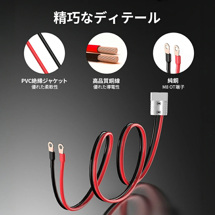 LiTime 24V 20A バッテリー充電器