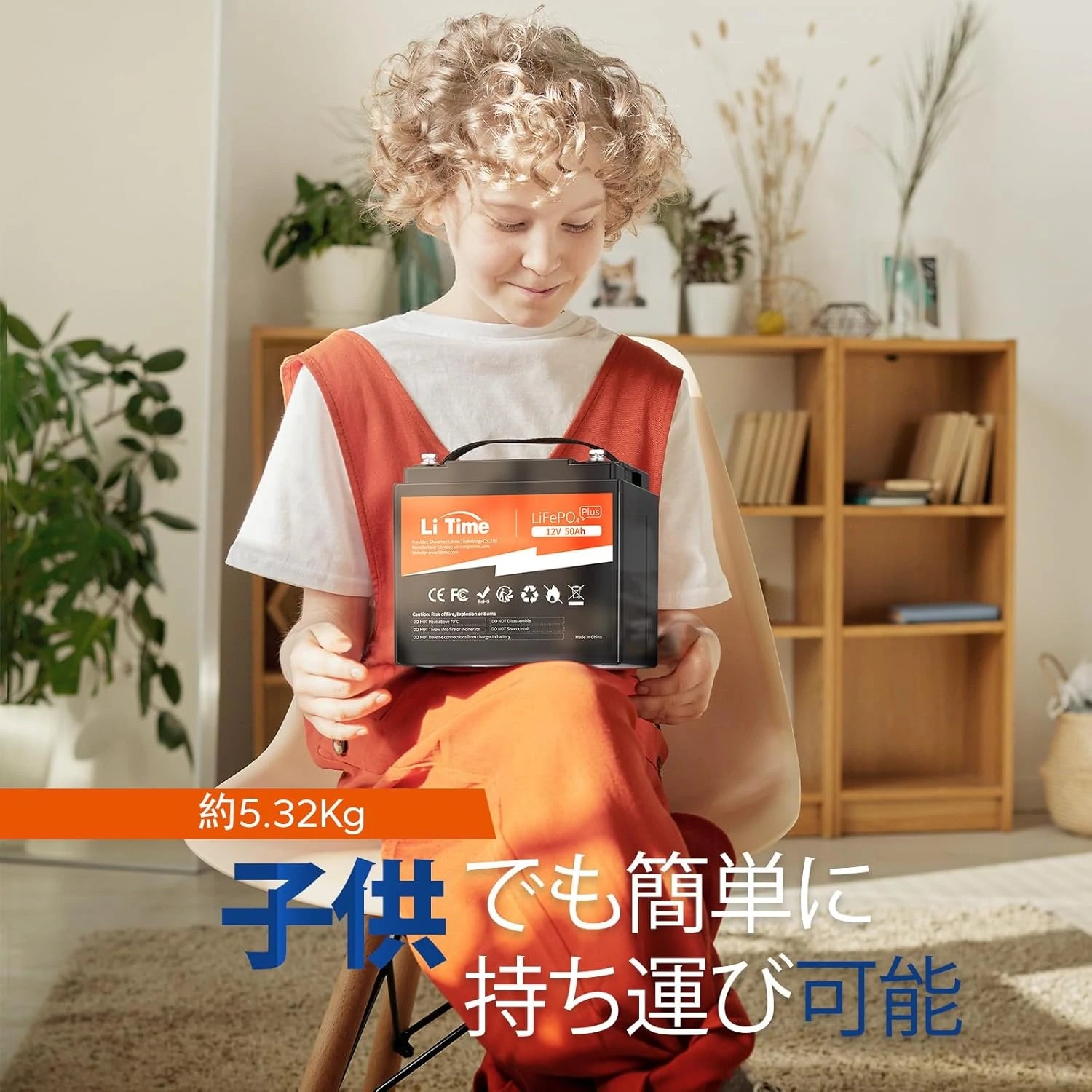 ディープサイクルバッテリー