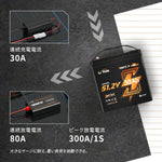 300A瞬間最大放電の低速電動車用バッテリー48V