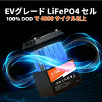 EVグレードLiFePO4セルを採用した10年の長寿命が持つ電動リール用バッテリー