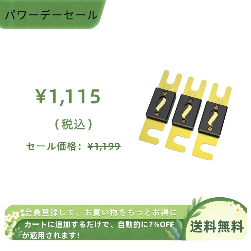 LiTime　ヒューズ 250A