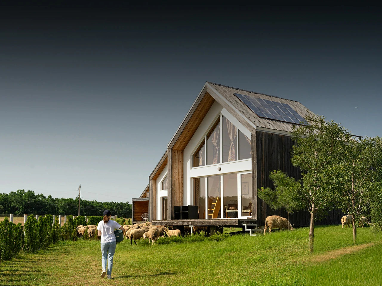 ソーラー設備と連携した農業用オフグリッド蓄電池おすすめ