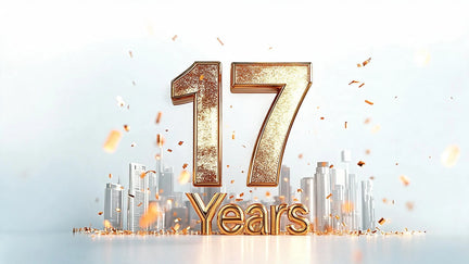 17年の専門知識